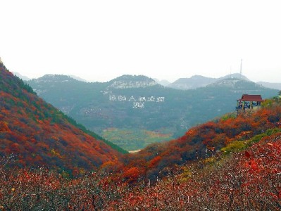 自己用支付宝套花呗？这些风险比缺钱更可怕！