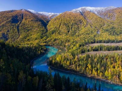 花呗自动扣款被风控？这些应对技巧+安出掌柜助你安心还款