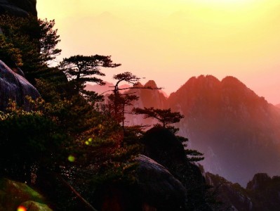 大同花呗取现需谨慎！这些风险与正规替代方案你要知道