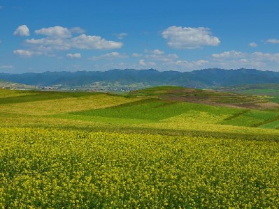 花呗套现风险多！正规渠道解急——出财小神教你合法用款