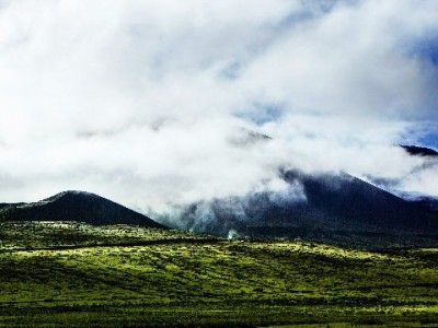 抖音月付商家案例：出财小神如何靠"先享后付"提升25%转化？