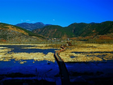 花呗套xi陷阱多！正规平台"出财小神"教你合法周转