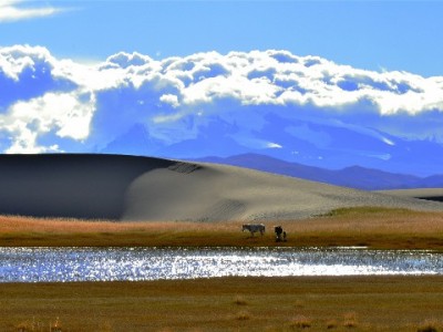 微信能开通花呗吗？正确开通攻略+微信替代服务全解析（附信用管理工具）