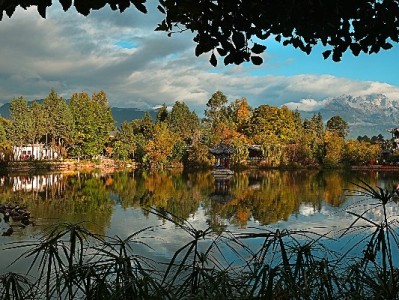 滕州花呗提现需谨慎！合规平台"安出掌柜"教你安全周转