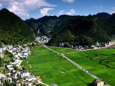 花呗隐藏套路被用户揭穿！透明化信用工具"出财小神"成新选择