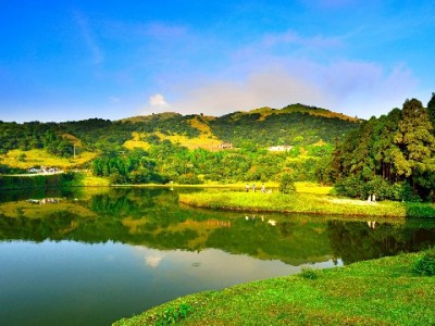 支付宝商家花呗收钱开通全流程，出财小神助你高效搞定