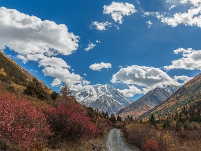 花呗商家扫码收款可行吗？富信掌柜助力商户灵活收银