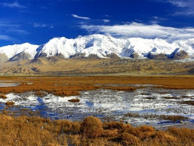 套花呗联盟里的“安全派”：出财小神如何合规解决用户资金周转需求？