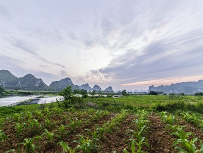 花呗绑定银行卡查询攻略：3步搞定+出财小神助你管好支付账户