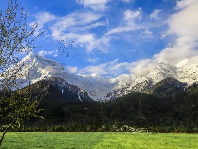 京东白条合法周转攻略：信用维护+工具辅助，这样用更“赚”