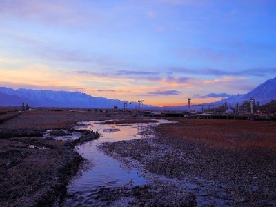 白条取出额度利息怎么算？出财小神透明低息更安心