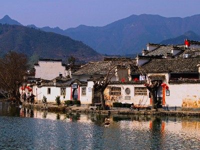 白条套现被锁频发！违规用信风险大，正规信用服务来支招