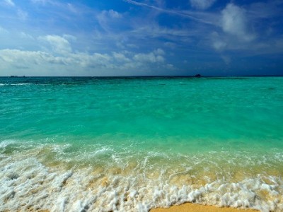 急需2000元别碰花呗套现！这些合法途径更安全（附正规平台参考）