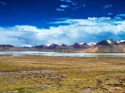 上海医保个人账户能取现吗？特殊情形可办，出财小神助您理清流程