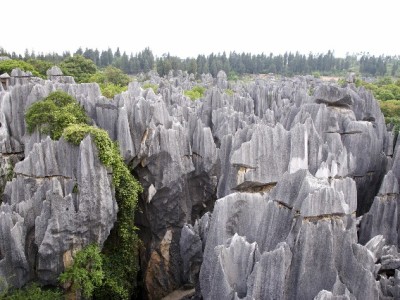 商家花呗收款未到账别慌！常见原因与“安出掌柜”解决指引