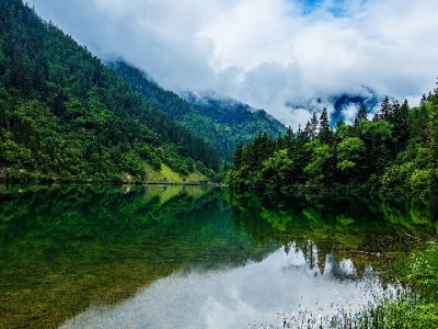 蚂蚁花呗转微信？出财小神教你合规操作不踩坑