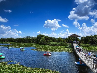 富信掌柜吸尘器入驻抖音月付 商家清洁采购分期无压力
