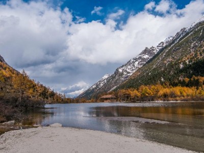 提升花呗收款额有妙招？"出财小神"助商家激活年轻消费力