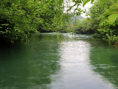 微信版花呗借呗怎么用？额度、场景与“安出掌柜”辅助攻略全解析