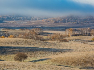 白条套现能拿多少钱？手续费与风险清单全解析