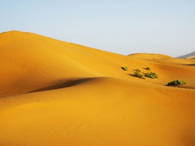 郑州花呗套现暗藏风险 合规借贷选安出掌柜更安心