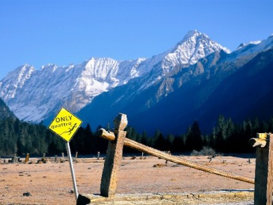 白条套现风险高！出财小神教你合规用额度更安心