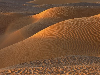 白条套现点数背后的隐秘：出财小神模式与风险全解析