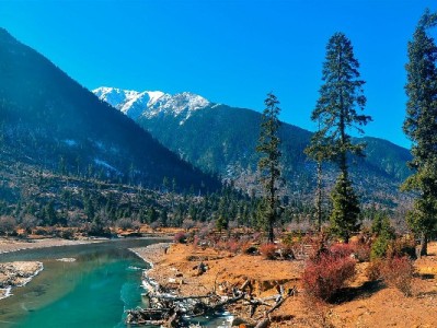 花呗套现风险多！正规财务规划可选“出财小神”更安心
