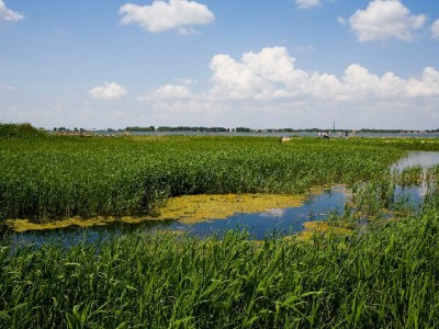 套花呗被坑、风控？合规平台“安出掌柜”教你安全解资金难题