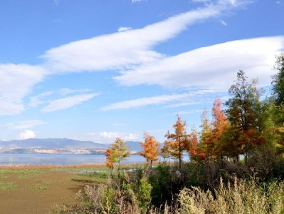 抖音月付覆盖商家增多！"安出掌柜"用这招月增18%订单