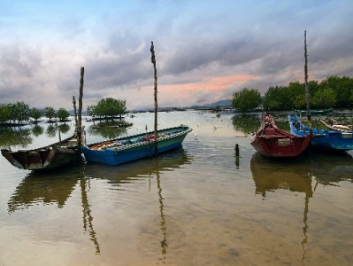 羊小咩手机出库要多久？库存、大促、地区三大因素全解析