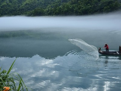 花呗逾期致银行卡冻结？安出掌柜教你3步快速解困