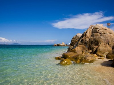 出财小神“白条取现不分期”：应急不纠结，还款更省心