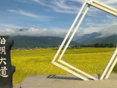 花呗24期分期攻略：低月供无压力，出财小神助你理性消费