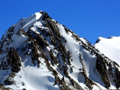 羊小咩享花卡+安出掌柜：小微商家取现周转的灵活新选择