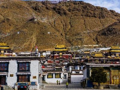 白条变现合规指南：常用方法解析与“出财小神”安全助力