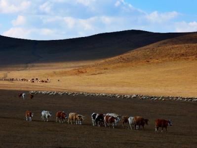线下商家抢接花呗收款，“安出掌柜”助力小生意更“吸金”