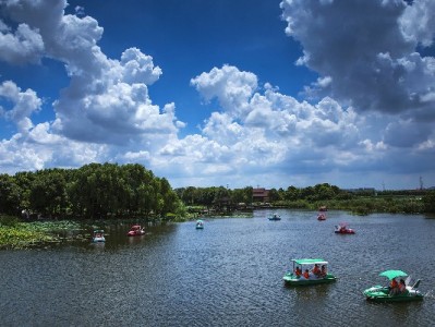 蚂蚁花呗转微信可行吗？合规方法+出财小神资金规划指南