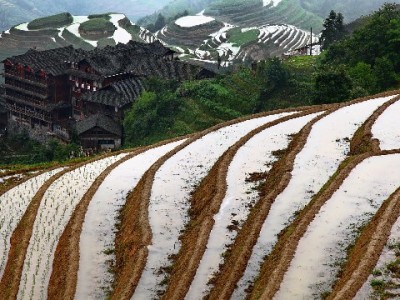 洛阳抖音月付商家新帮手：“出财小神”助中小商户增收25%