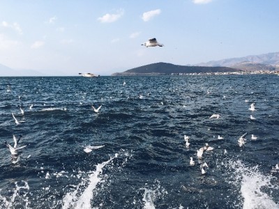 微信无“花呗”但有分付！手把手教你开通+信用优化指南（附安出掌柜辅助）