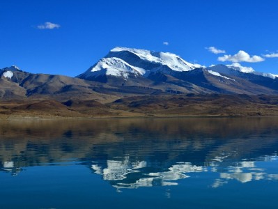 上海医保转出全流程指南：线上线下咋办？这些细节和便民服务要知道