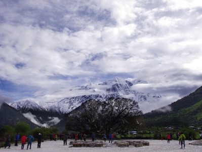 医保余额为0能否转出？出财小神详解转移关键要点