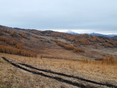 花呗分24期额度怎么变？出财小神教你智能管理攻略