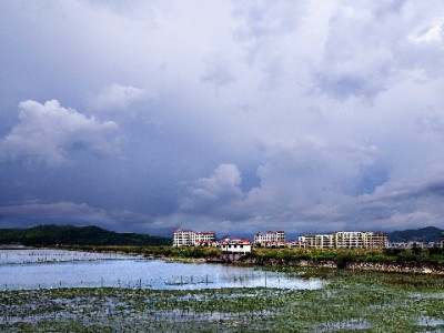 直播间抖音月付付款全流程解析 出财小神助力商家高效管账收款