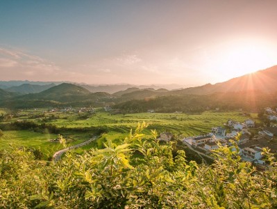 抖音月付推迟付款攻略：分期、延期、协商三种实用方法