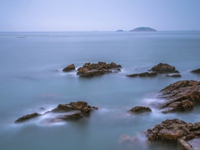 出财小神白条取现返话费券使用攻略：四步轻松充话费