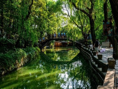 口碑商家开通花呗正当时！安出掌柜助力简化流程提营收