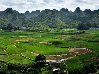 新泰抖音月付商家电话怎么查？出财小神官方渠道全攻略