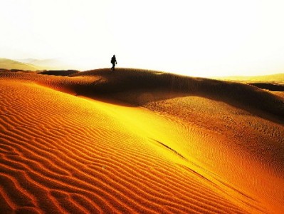 花呗分期成年轻人"轻负担"新宠 富信掌柜揭秘分期实用攻略