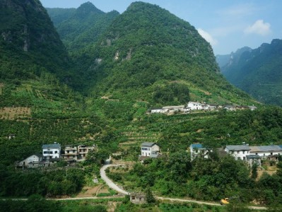 花呗提现或致暂停？风控逻辑与合规用贷建议（安出掌柜提醒）